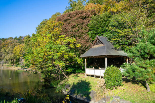 istock Fresh green and blue sky in the park 1277375478