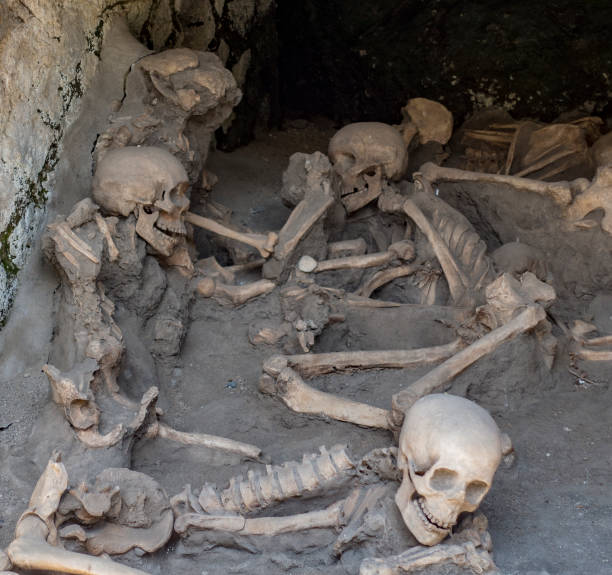 istock Skulls and bones found entombed in lava 1277375854