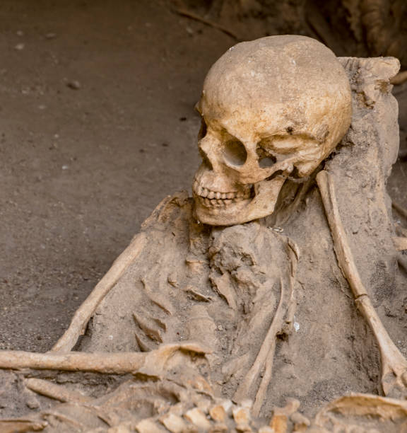 istock Skulls and bones found entombed in lava 1277376824