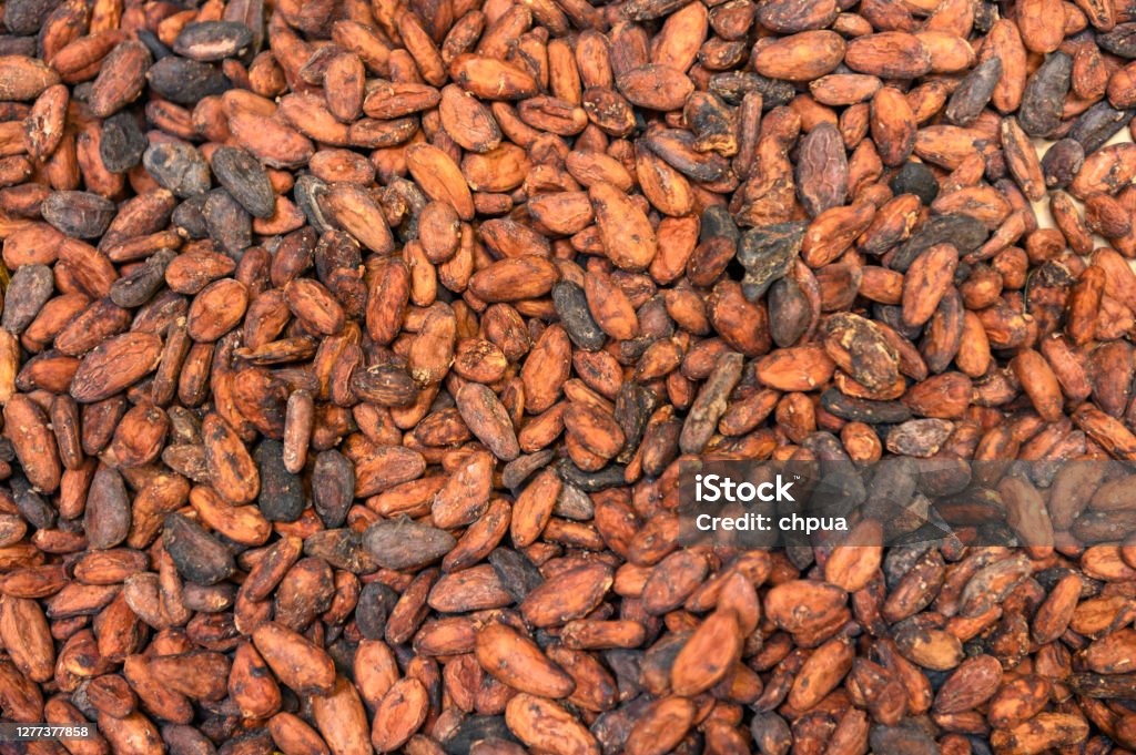 Cocoa beans view from top Cocoa Bean Stock Photo