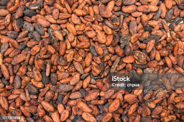 Cocoa Beans View From Top Stock Photo - Download Image Now - Cocoa Bean, Hot Chocolate, Cocoa Powder