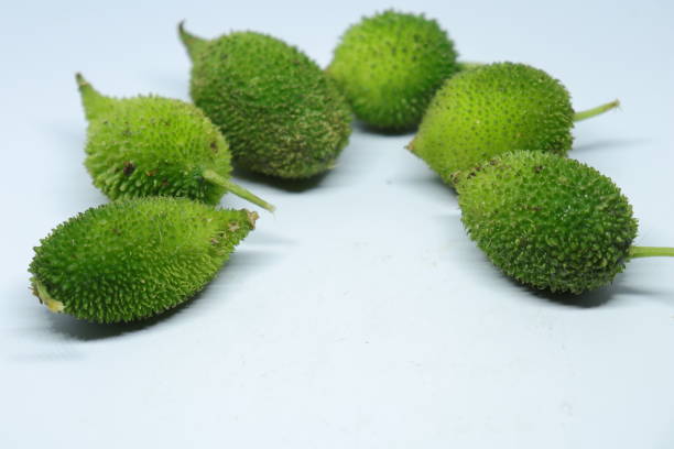 istock Fresh green colorful spiny gourd or teasel gourd vegetables on white background 1277379518