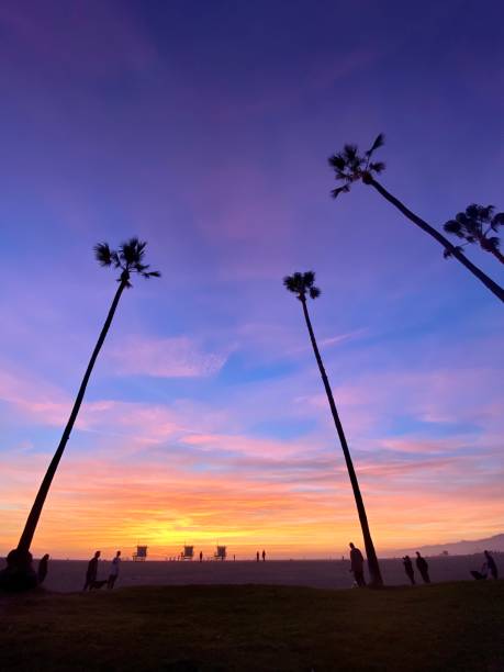 istock Sunset on Venice Beach, California 1277380652