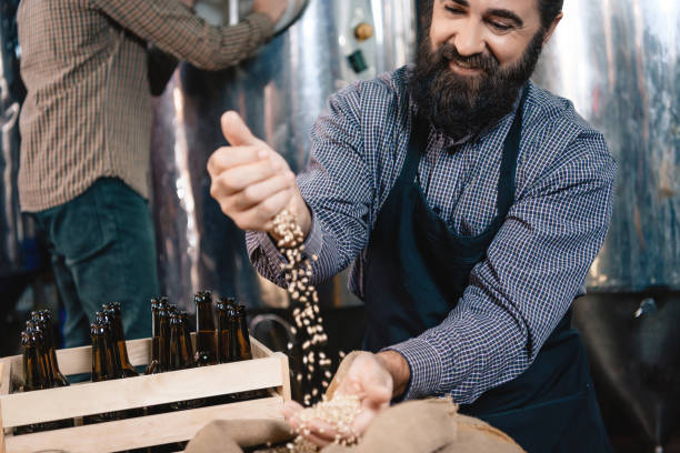istock A man works in a brewery and checks the grain. 1277381973