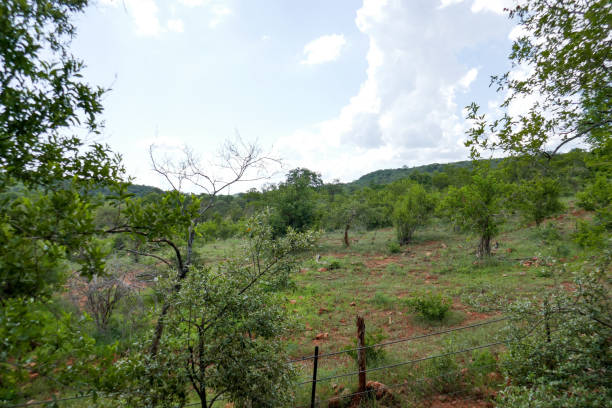 Kruger National Park, South Africa