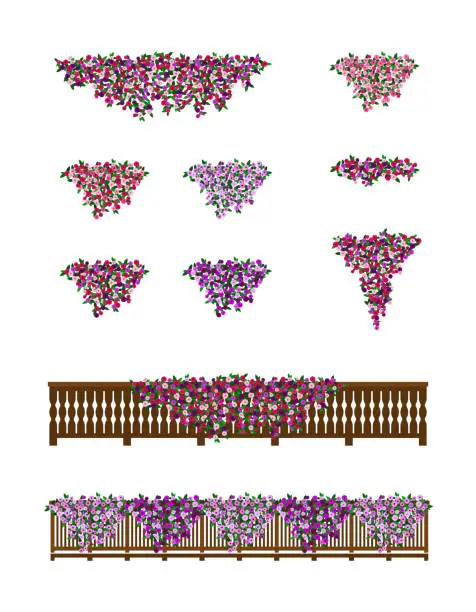 Vector illustration of Bushes of petunia flowers for balconies.