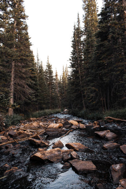 istock Feel The Earth Beneath Your Feet 1277383518