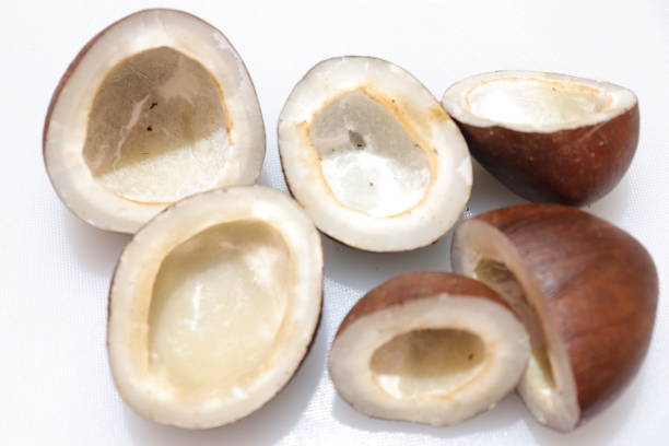 istock Close up view of dried coconut chips on white background in india 1277383574