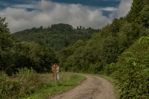 Green forests and road to Slovakia Poland border near national park Poloniny in summer cloudy morning