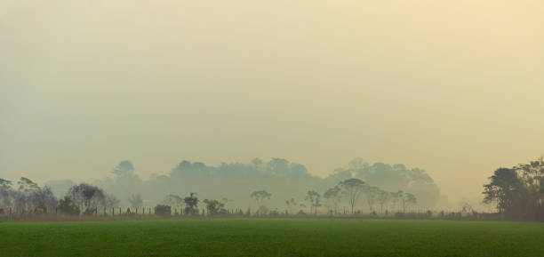 istock Early morning misty over farmland 1277387475