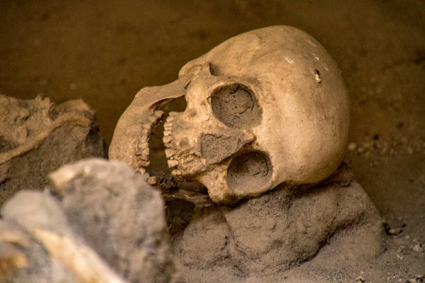 istock Skulls and bones found entombed in lava 1277390498