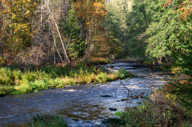 istock Autumn landscape with a river.Bright autumn nature. 1277391602