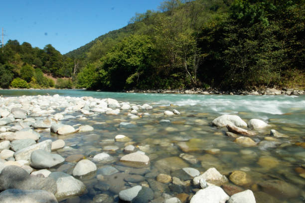 istock Landscape of a mountain river near a forest 1277394820