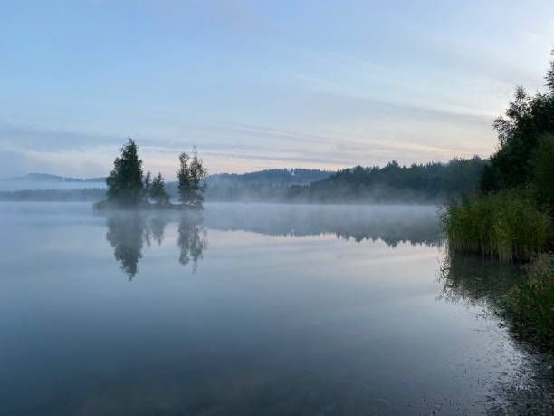 istock Foggy morning on lake tree island 1277396979