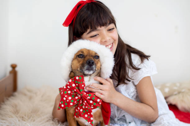 Christmas season with pet