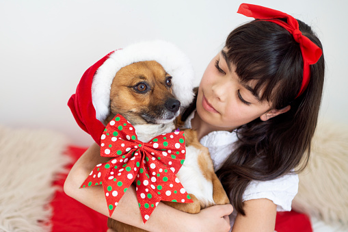 Christmas season with pet