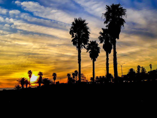 istock Coastal Sunset Scene at Montevideo City, Uruguay 1277400686