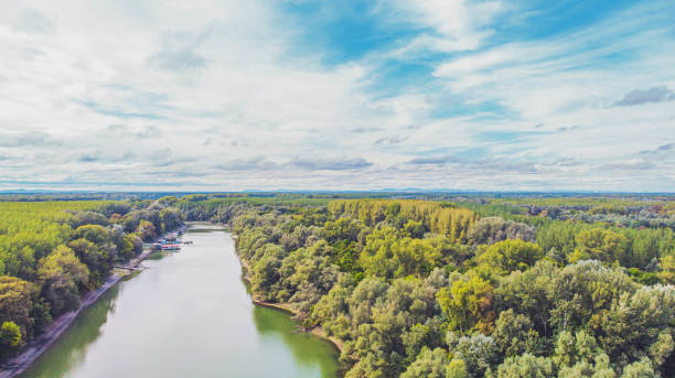 istock River and forest stock photo 1277402601