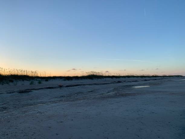 avena di mare al tramonto - sand beach sand dune sea oat grass foto e immagini stock