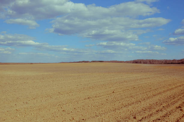 istock A plowed agricultural field. Blue sky over a farm field. 1277405224