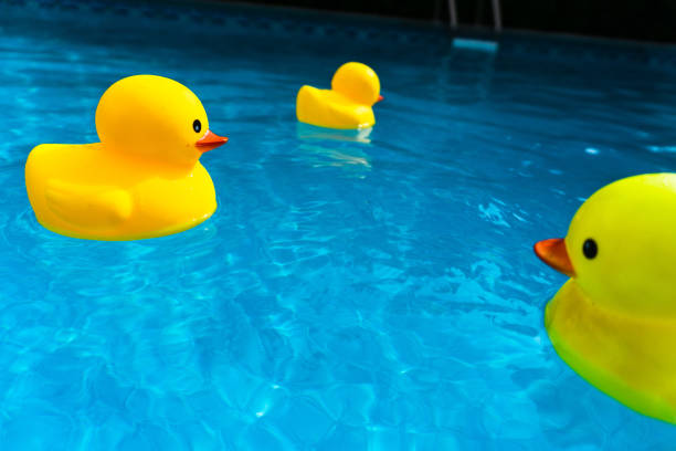 istock Rubber ducks afloat in swimming pool 1277406129