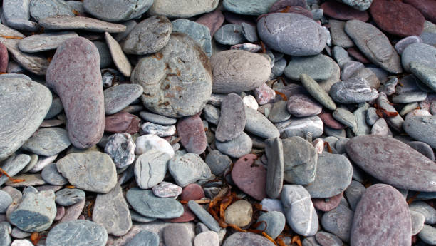 istock Pebbles flattened and rounded by powerful ocean waves 1277408220