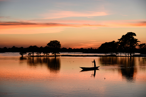 Barpeta, India. 20 September 2020. A man row his boat at sunset in a flood effected paddy field, in a village.