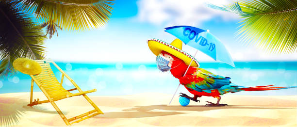 istock Macaw parrot with medical mask on vacation 1277411255