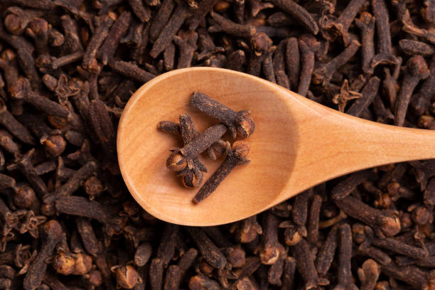 istock Carnation seeds close up. Fragrant clove seeds in a spoon. 1277411654