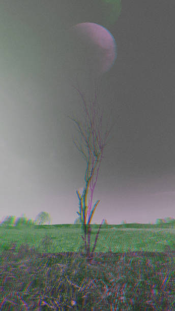 istock Dry tree without leaves in green meadow 1277411658