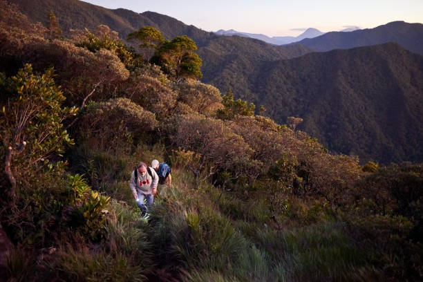 Shot of a senior people walking up on mountain trail with a torch