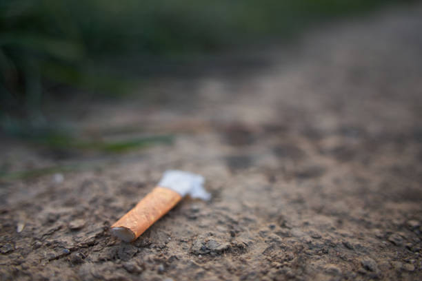 istock The stubbed cigarette butt lies on a country lane. copy space. Selective focus. 1277413899