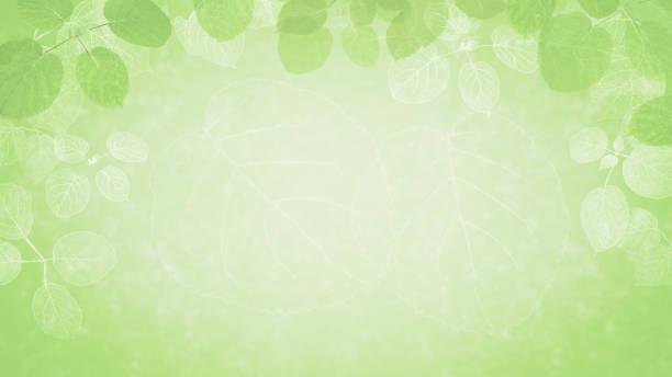 istock Vignette Background of Green Leaves with Copy Space 1277416058