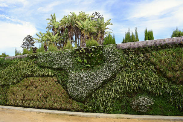 istock palm trees and different plants on a wall in the park garden 1277417426