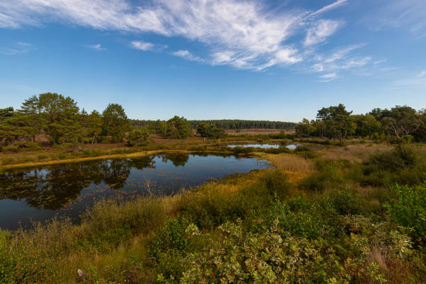 parc national de hoge kempen - de teut avec une belle vue sur la bruyère et le ciel dramatique qui a des possibilités étonnantes pour un style de vie en plein air - autumn sky nobody lake photos et images de collection