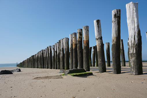 Wooden Posts of a beach erosion protection system along the beach at the town of Vlissingen in Zeeland Province in the Netherlands.