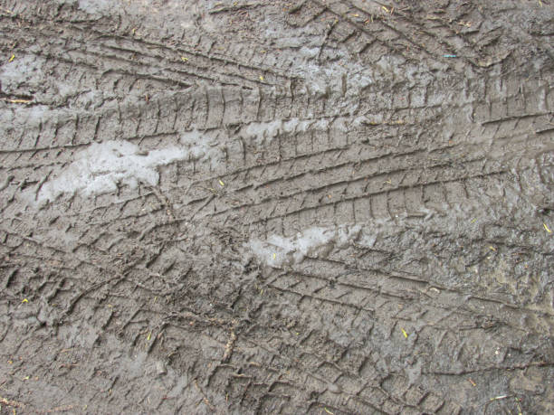 istock tire prints in dirt background 1277424416