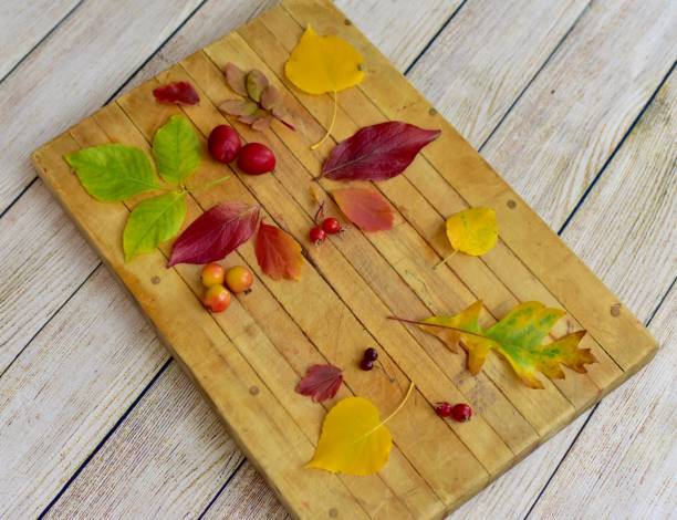 istock Fall colourful background with artistically arranged autumn leaves on wooden backdrop 1277425292
