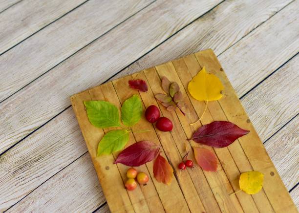 istock Fall colourful background with artistically arranged autumn leaves on wooden backdrop 1277425460