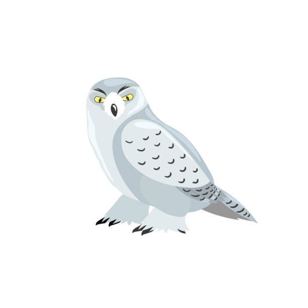 арктическая полярная сова. мультфильм плоский стиль иллюстрации полярной и арктической птицы. векторная иллюстрация для детей, образовани - owl snowy owl snow isolated stock illustrations