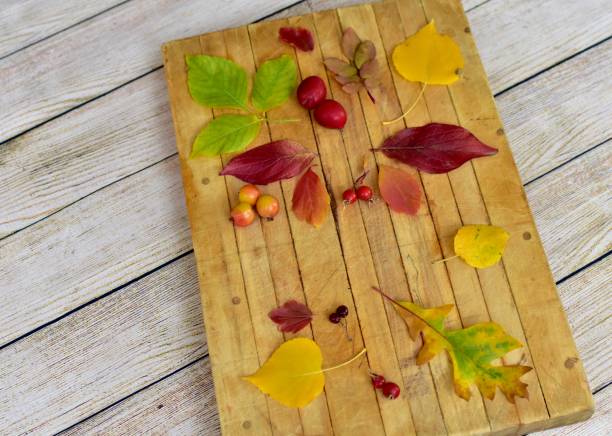 istock Fall colourful background with artistically arranged autumn leaves on wooden backdrop 1277425633