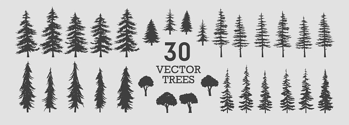 Set of 30 detailed and different tree silhouette illustrations