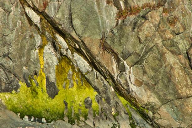 istock Closeup of ocean rock 1277428097
