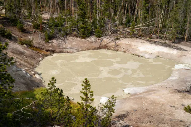 Photo of Mud Volcano and Sulfur cauldron are mud pots and fumaroles, in Yellowstone National Park Wyoming