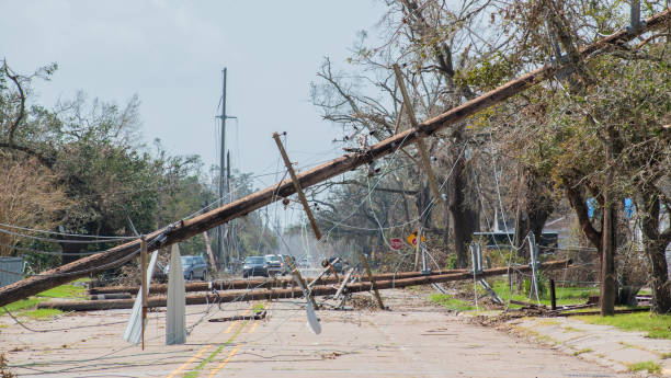 Storm destruction Telephone poles toppled over after Hurricane Laura natural disaster stock pictures, royalty-free photos & images