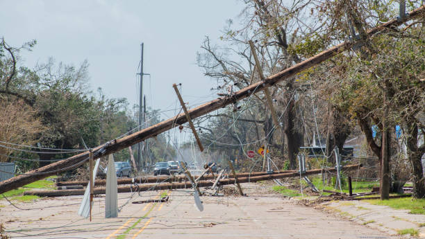 Storm destruction Telephone poles toppled over after Hurricane Laura hurricane laura stock pictures, royalty-free photos & images