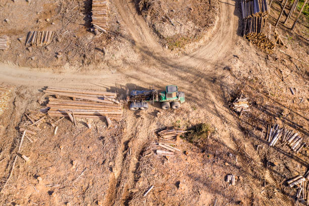 istock a modern forest machine in a felled forest from above 1277432754