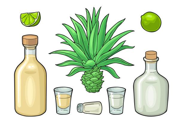 ilustraciones, imágenes clip art, dibujos animados e iconos de stock de vidrio y botlle de tequila. cactus, sal, lima. ilustración vectorial de color aislada en blanco - sales growth