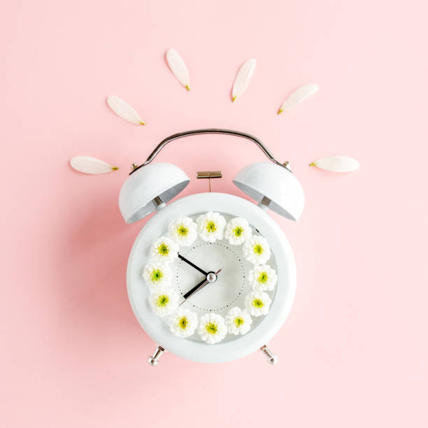 istock Composition-summer time from clock and chamomile flowers on pink background. Flat lay, top view 1277435910
