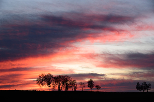 Line of tree silhouettes before a fire red sky: sunset in Bavaria